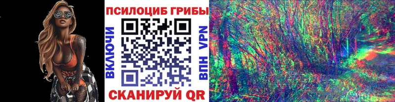 Псилоцибиновые грибы Cubensis  Купить закладки  Абинск 
